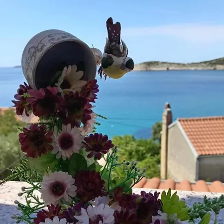 Πανσιόν Julia